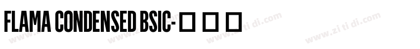 FLAMA CONDENSED BSIC字体转换